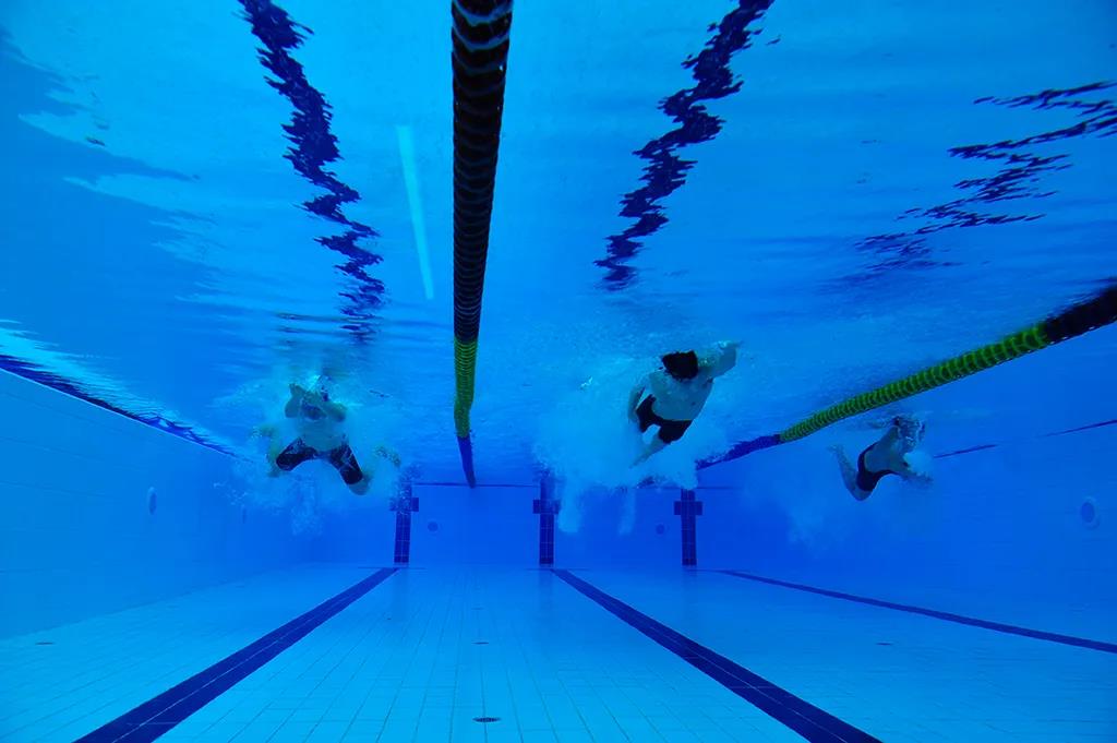 賀31周年|合作共贏新平臺，凝心聚力再出發(fā)